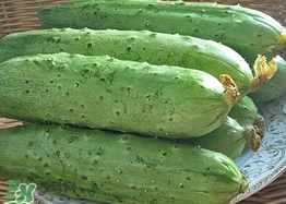 黃瓜敷臉可以美白嗎？黃瓜敷臉美白效果好嗎？