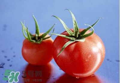 孕婦可以吃生西紅柿嗎？孕期多吃西紅柿的好處