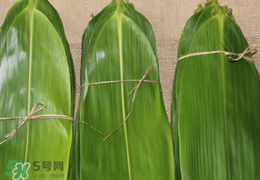 干粽葉要煮嗎？干粽葉到底是泡好還是煮好？