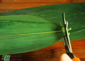 粽葉是干的好還是新鮮的好？干棕葉好還是新鮮棕葉好？
