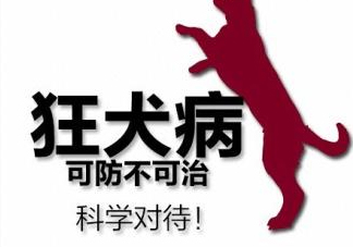 狂犬病會(huì)傳染嗎？狂犬病會(huì)學(xué)狗叫嗎