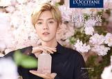 鹿晗代言了歐舒丹嗎？歐舒丹的代言人是鹿晗嗎？