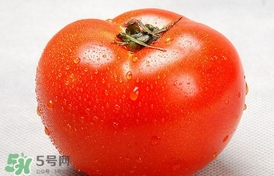 西紅柿能和黃瓜一起吃嗎？黃瓜可以和西紅柿一起吃嗎？