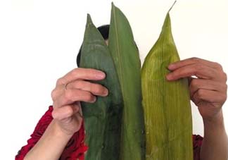 干粽葉怎么煮？干粽葉煮多久？