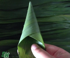 粽子葉能冷凍嗎？粽子葉放冰箱冷藏還是冷凍？
