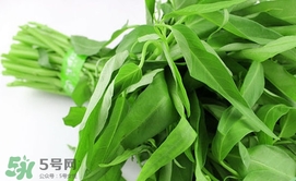 空心菜可以放冰箱嗎？空心菜能在冰箱放幾天