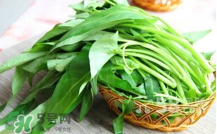 空心菜有毒嗎？空心菜需要焯水嗎？