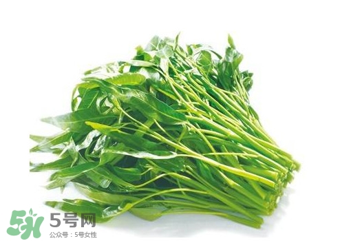 空心菜有毒嗎？空心菜需要焯水嗎？