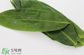 新鮮粽葉怎么處理？新鮮粽子葉怎樣處理？