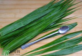 粽葉是蘆葦葉嗎？粽葉和蘆葦葉的區(qū)別