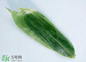 箬葉可以包粽子嗎？箬葉怎么包粽子？