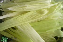 玉米葉可以包粽子嗎？包棕子用玉米葉可以嗎?