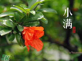 ?小滿可以回娘家嗎？?小滿能回娘家嗎？