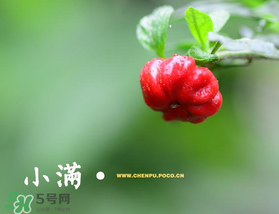 ?小滿可以回娘家嗎？?小滿能回娘家嗎？
