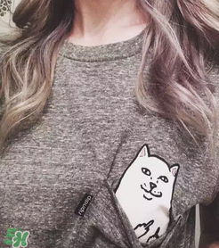 ripndip是什么牌子？ripndip是什么檔次？