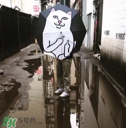 ripndip是什么牌子？ripndip是什么檔次？