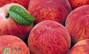 桃子和西瓜一起吃會中毒嗎？桃子和西瓜能一起吃嗎？