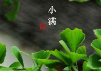 ?小滿(mǎn)可以回娘家嗎？?小滿(mǎn)能回娘家嗎？