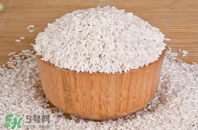 江米泡多久才可以包粽子？江米包粽子跑多長(zhǎng)時(shí)間？