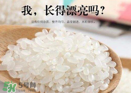 大米可以包粽子嗎？包粽子大米要泡多久？