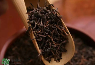 普洱茶能不能天天喝？天天喝普洱茶好嗎？