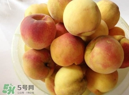 黃桃是杏子嗎？黃桃和杏子的區(qū)別