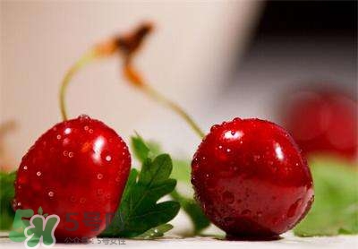 櫻桃和車厘子有什么區(qū)別？櫻桃和車厘子哪個貴？