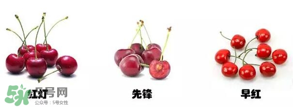 櫻桃和車厘子有什么區(qū)別？櫻桃和車厘子哪個貴？