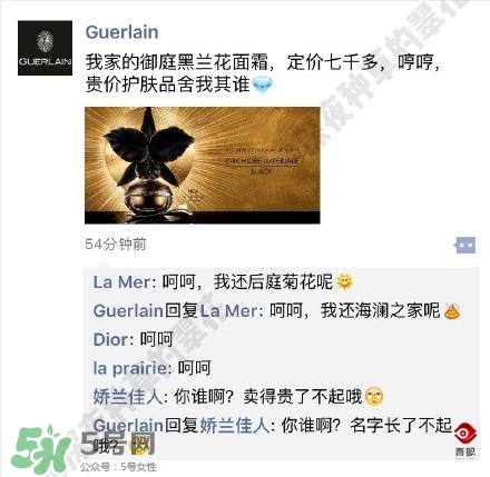 嬌蘭和嬌蘭佳人一樣嗎？嬌蘭和嬌蘭佳人什么聯(lián)系？