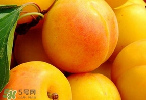 黃桃是什么季節(jié)的？黃桃是轉(zhuǎn)基因的嗎