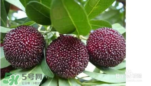 楊梅怎么吃好吃？楊梅怎么吃不酸？