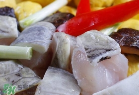 鱷魚肉有刺嗎？鱷魚肉有什么功效