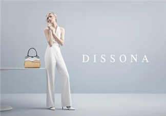 dissona是什么牌子？dissona迪桑娜是哪個國家的品牌？