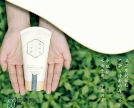 百雀羚三生花洗面奶多少錢(qián)？百雀羚三生花洗面奶價(jià)格
