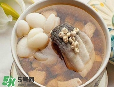 鱷魚肉燉湯要去皮嗎？鱷魚肉煲湯新鮮的好還是干的好