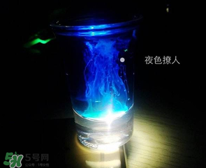 僵尸雞尾酒配方是什么？僵尸雞尾酒配方做法