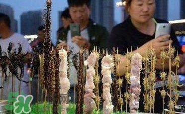 鱷魚肉價格多少錢一斤？吃鱷魚犯法嗎？
