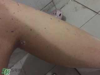 shills舒兒絲去角質(zhì)雪泡怎么用？shills舒兒絲去角質(zhì)雪泡用法