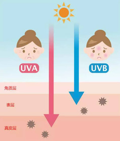 安耐曬好用嗎？安耐曬怎么樣？