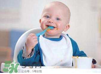 寶寶幾個月可以吃肉松？寶寶多大可以吃肉松