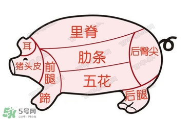 后臀尖多少錢一斤？豬后臀尖在哪？