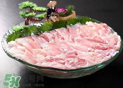 鱷魚肉是發(fā)物嗎？鱷魚肉是不是發(fā)物