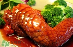 鱷魚肉是寒性的嗎？ 鱷魚肉是寒性還是溫性？