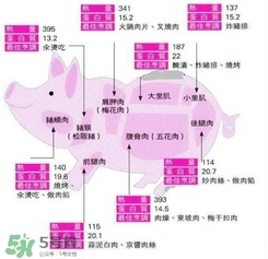 里脊肉是哪個部位？里脊肉是哪里的肉