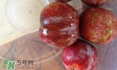 三華李可以和香蕉一起吃嗎？香蕉能和三華李一起吃嗎