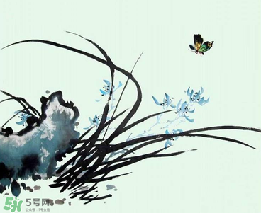 空谷幽蘭是什么書(shū)？空谷幽蘭講的是什么？