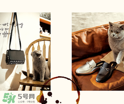 belle是什么牌子？百麗是哪個國家的品牌？