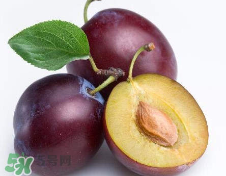 三華李可以放多久？三華李可以冷藏嗎？
