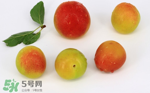 雙華李有什么營(yíng)養(yǎng)？雙華李的營(yíng)養(yǎng)價(jià)值