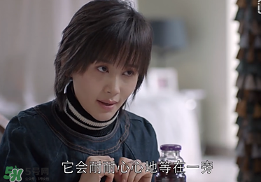 蒼蠅粉是什么意思？蒼蠅粉是什么東西？